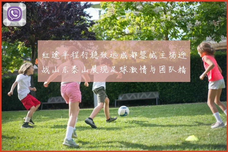 红途半程行稳致远成都蓉城主场迎战山东泰山展现足球激情与团队精神